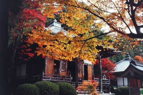 花山院 东光山菩提寺 観光スポット ぐるっとおでかけ阪神北ひょうご北摂ツーリズムガイド