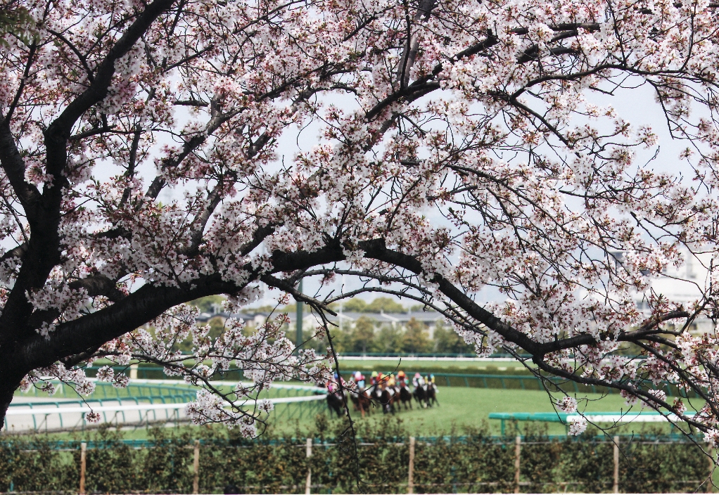 阪神競馬場
