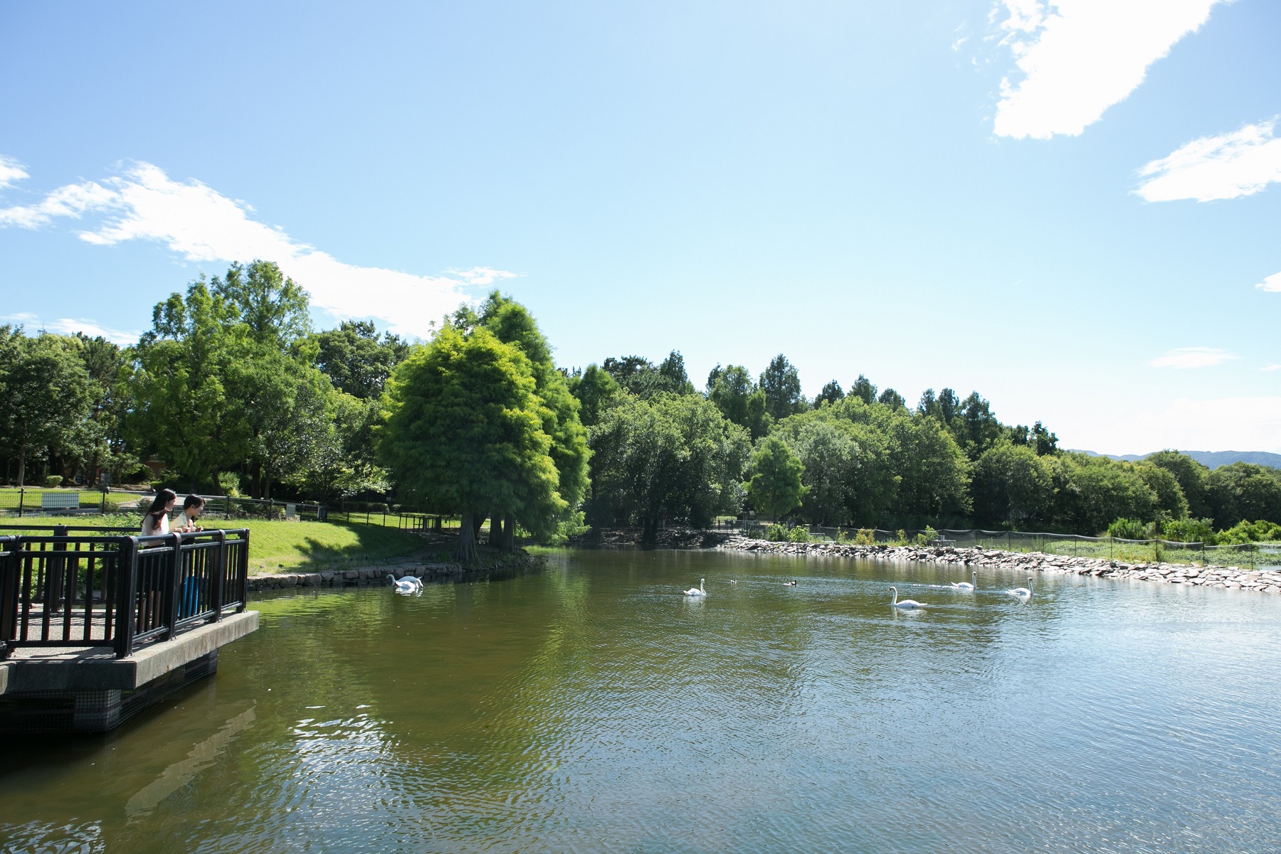 昆陽池公園