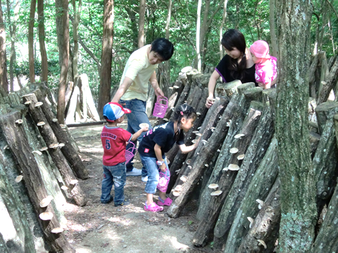 しい茸ランド かさや