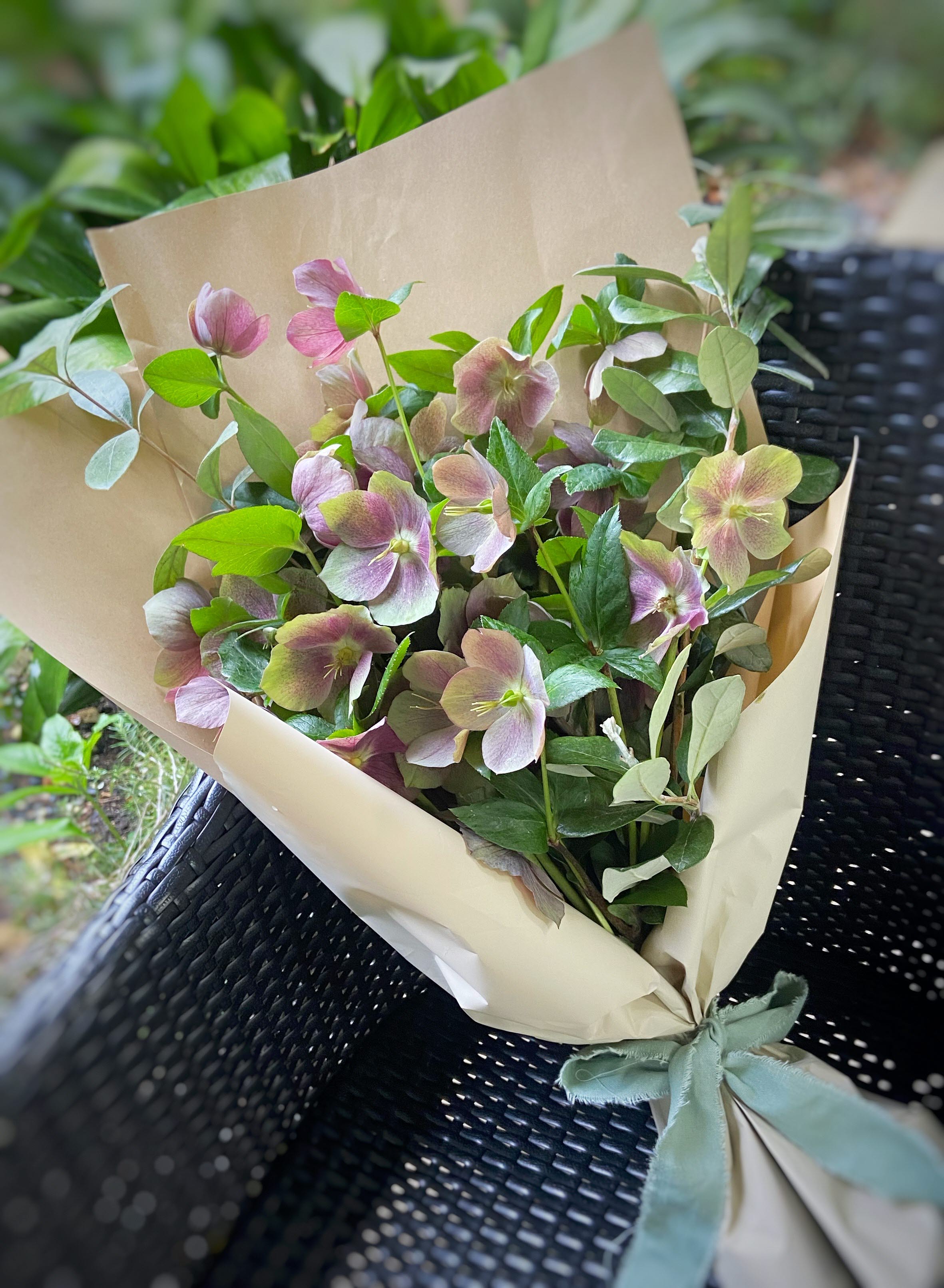 クリスマスローズ摘み取り体験とブーケ作り 要申込 イベント ぐるっとおでかけ阪神北 ひょうご北摂ツーリズムガイド