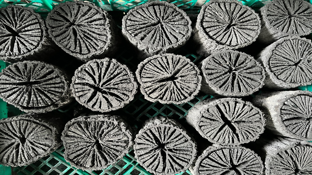 「日本一の里山」を巡るウォーキングツアー