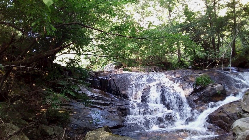 猪名川流域の母なる地を実感し、  みんなで維持していくプロジェクト