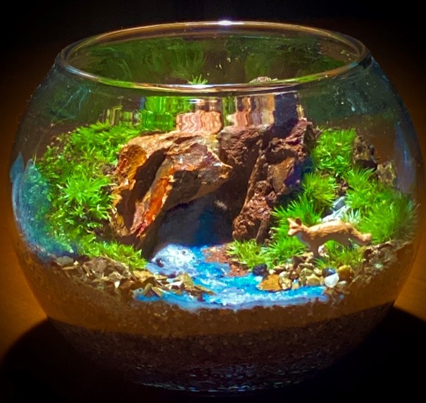 摂津の里山を見て苔リウムを作ろう体験